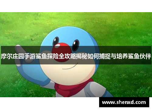 摩尔庄园手游鲨鱼探险全攻略揭秘如何捕捉与培养鲨鱼伙伴