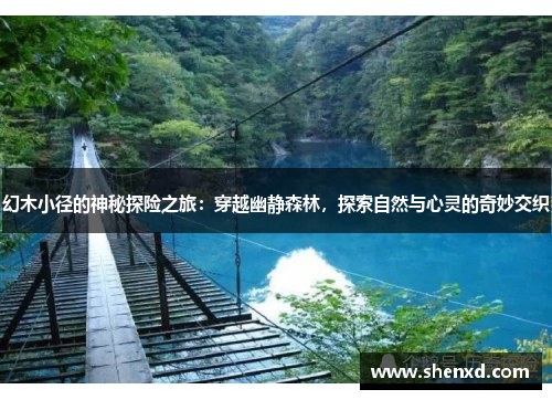 幻木小径的神秘探险之旅：穿越幽静森林，探索自然与心灵的奇妙交织