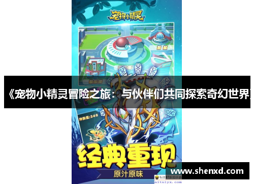 《宠物小精灵冒险之旅：与伙伴们共同探索奇幻世界》