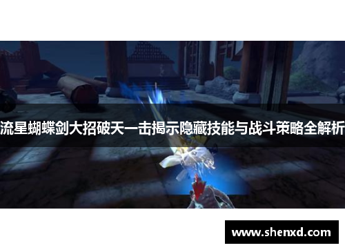 流星蝴蝶剑大招破天一击揭示隐藏技能与战斗策略全解析